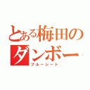 とある梅田のダンボール（ブルーシート）