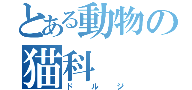 とある動物の猫科（ドルジ）