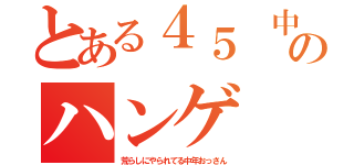 とある４５ 中年フォーティーのハンゲ ｈｅｄｅｙｕｋｉ 包茎ウンコ（荒らしにやられてる中年おっさん）