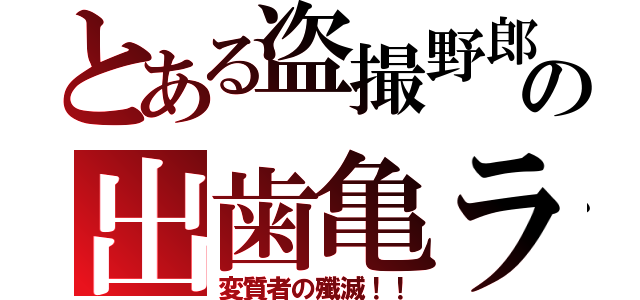 とある盗撮野郎の出歯亀ラ（変質者の殲滅！！）