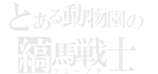 とある動物園の縞馬戦士（ツェーブラ）