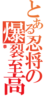 とある忍将の爆裂至高（拳）