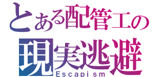 とある配管工の現実逃避（Ｅｓｃａｐｉｓｍ）