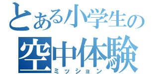 とある小学生の空中体験（ミッション）