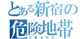 とある新宿の危険地帯（ニチョウメ）