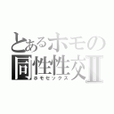 とあるホモの同性性交Ⅱ（ホモセックス）