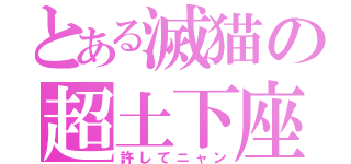 とある滅猫の超土下座（許してニャン）