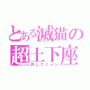 とある滅猫の超土下座（許してニャン）