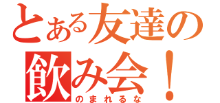 とある友達の飲み会！（のまれるな）