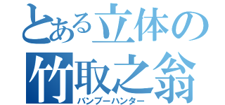 とある立体の竹取之翁（バンブーハンター）