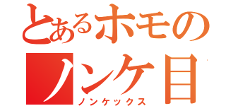 とあるホモのノンケ目録（ノンケックス）