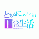 とあるにゃんこの日常生活（人生のなく頃に、、、、、、）