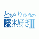 とあるりゅうのお米好きⅡ（ライスラブ）