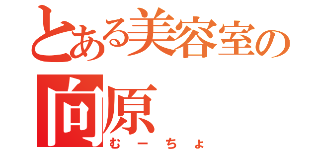 とある美容室の向原（むーちょ）