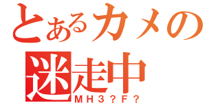 とあるカメの迷走中（ＭＨ３？Ｆ？）