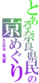 とある奈良県民のの京めぐり（冬の宇治　嵐山編）