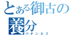 とある御古の養分（パチンカス）