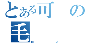 とある可愛の毛（ｍｏ）