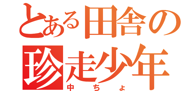 とある田舎の珍走少年（中ちょ）