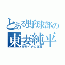 とある野球部の東妻純平（智辯イチの強肩）