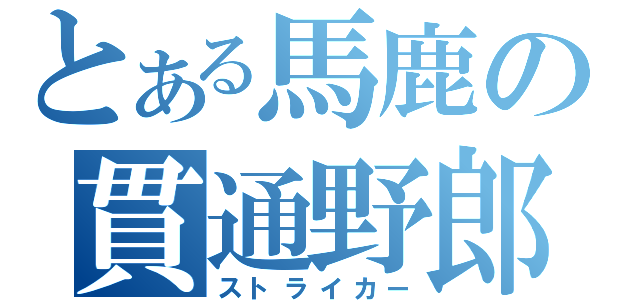 とある馬鹿の貫通野郎（ストライカー）