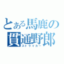 とある馬鹿の貫通野郎（ストライカー）