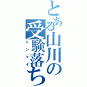 とある山川の受験落ちⅡ（ドンマイ）