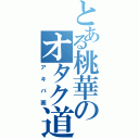 とある桃華のオタク道（アキバ画）