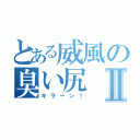 とある威風の臭い尻Ⅱ（キラーン！）