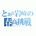 とある岩崎の春高挑戦（チャレンジ）