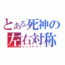 とある死神の左右対称（シンメトリー）