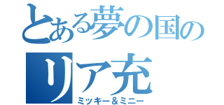 とある夢の国のリア充（ミッキー＆ミニー）