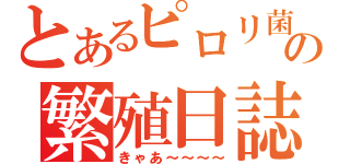 とあるピロリ菌の繁殖日誌（きゃあ～～～～）