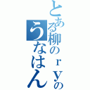 とある柳のｒｙのうなはん（）