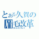 とある久賀の眉毛改革（せいとかいちょう）