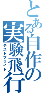 とある自作の実験飛行（テストフライト）