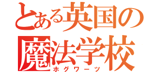 とある英国の魔法学校（ホグワーツ）