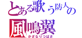 とある歌う防人の風鳴翼（かざなりつばさ）