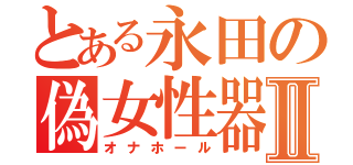 とある永田の偽女性器Ⅱ（オナホール）