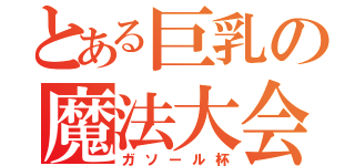 とある巨乳の魔法大会（ガソール杯）