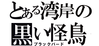 とある湾岸の黒い怪鳥（ブラックバード）