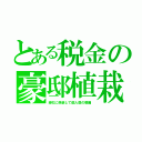 とある税金の豪邸植栽（緑化に偽装して個人庭の整備）