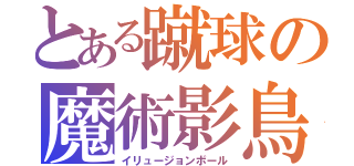 とある蹴球の魔術影鳥（イリュージョンボール）