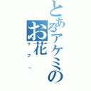 とあるアケミのお花（ラブ「）