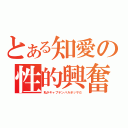 とある知愛の性的興奮（私がキャプテンバルボッサだ）