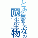 とある無邪気なの底生生物（イカ）