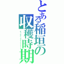 とある稲垣の収穫時期（ビャアアーウマイイイイイ）