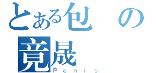 とある包莖の竟晟（Ｐｅｎｉｓ）