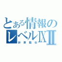 とある情報のレベルⅨⅡ（折原臨也）