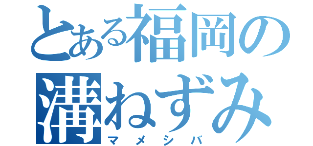 とある福岡の溝ねずみ（マメシバ）